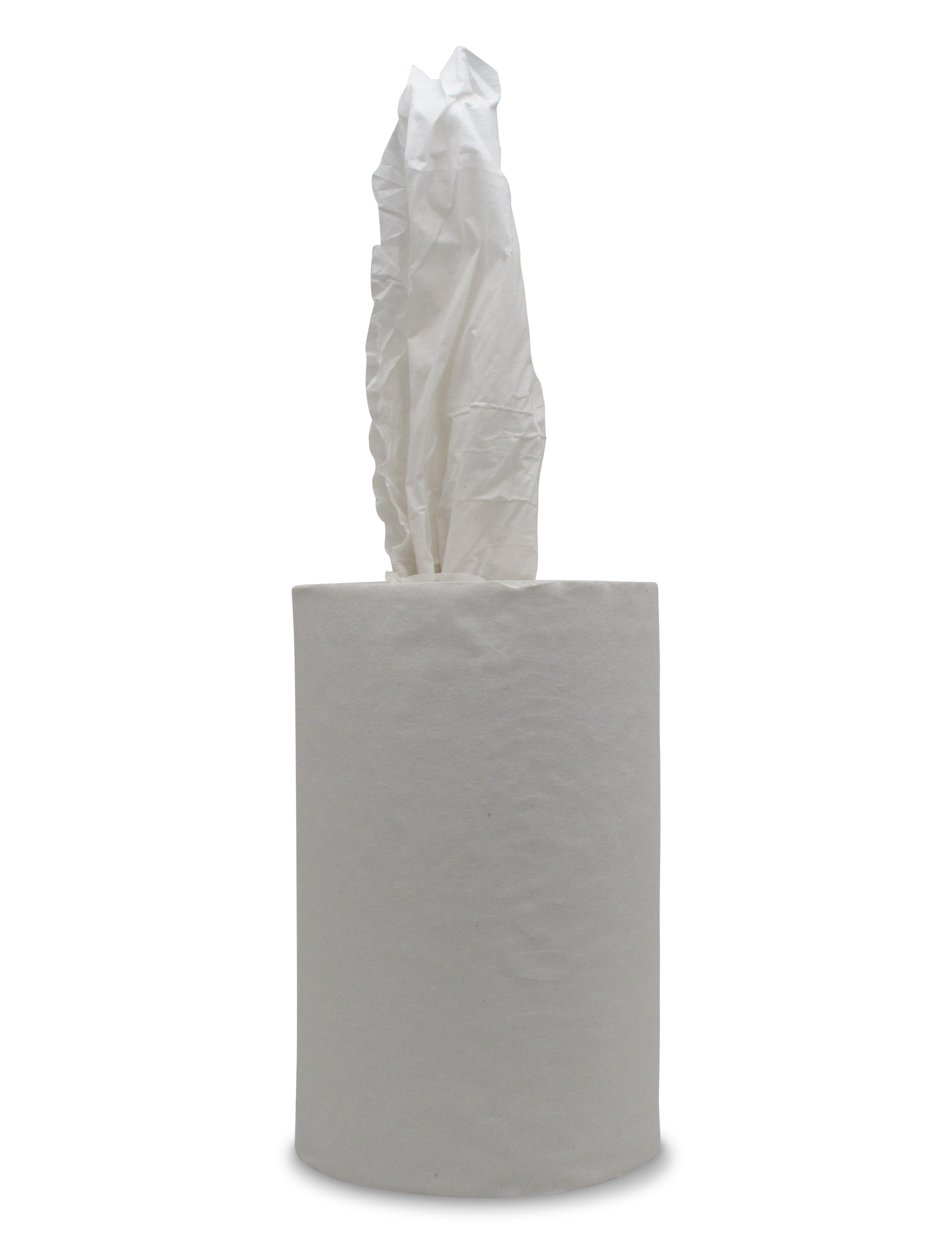 Papierhandtuchrollen-T-Mini-Zellstoff 12St. 20cm X Ø 13cm